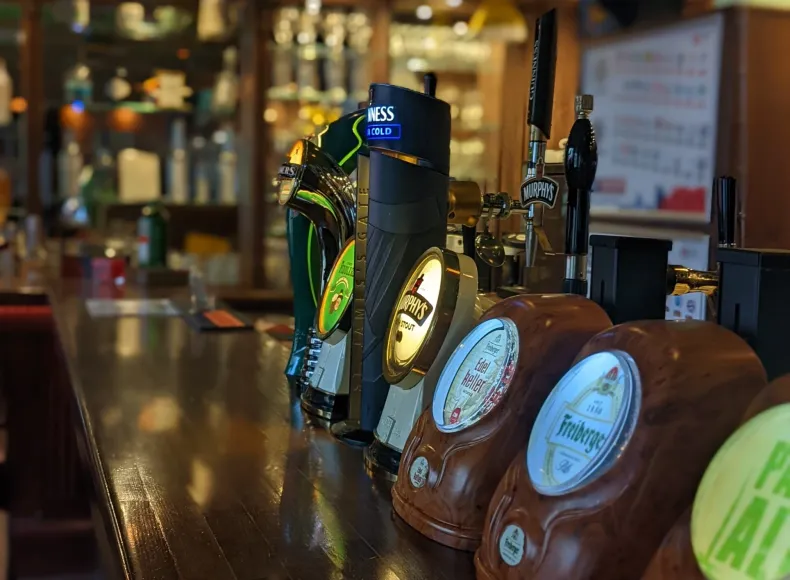 Irish Fiddler - Irish Pub Bannerbild