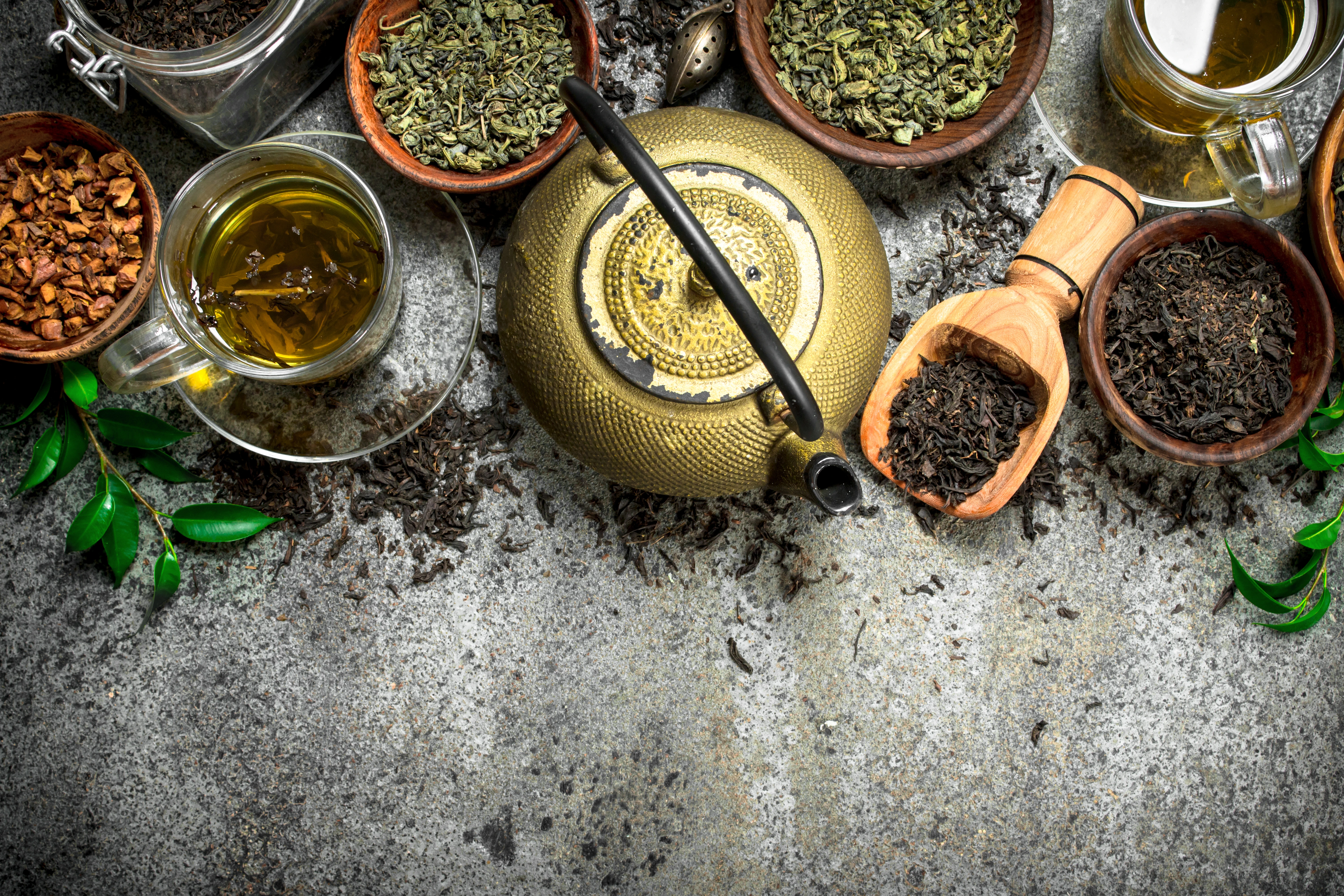 Dresdner TeeZeit Bannerbild