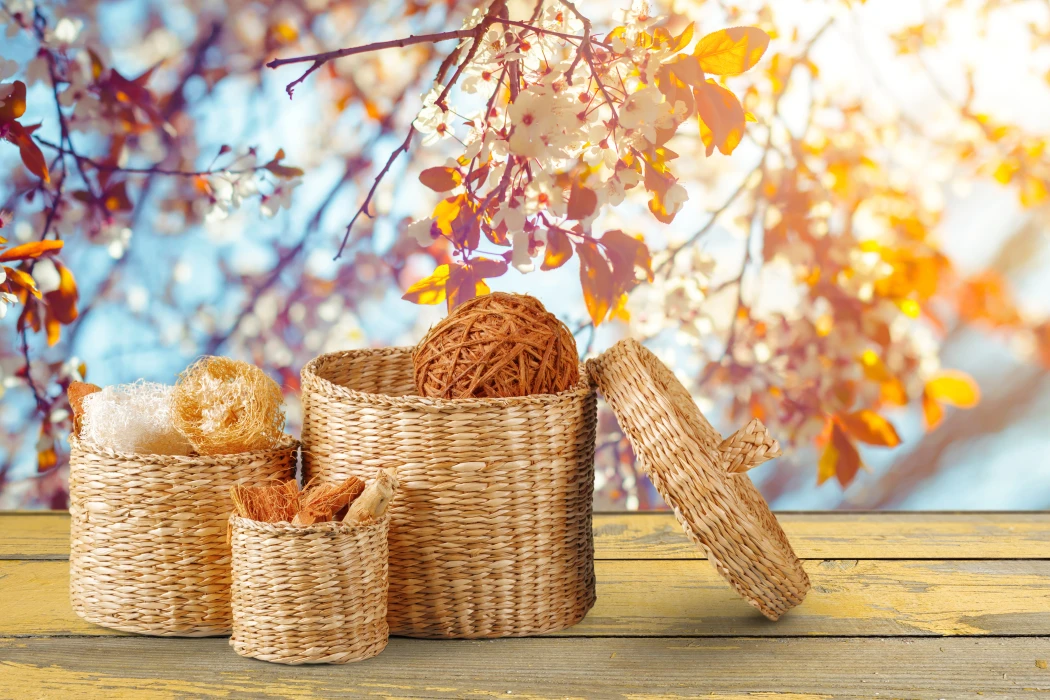 Bannerbild
