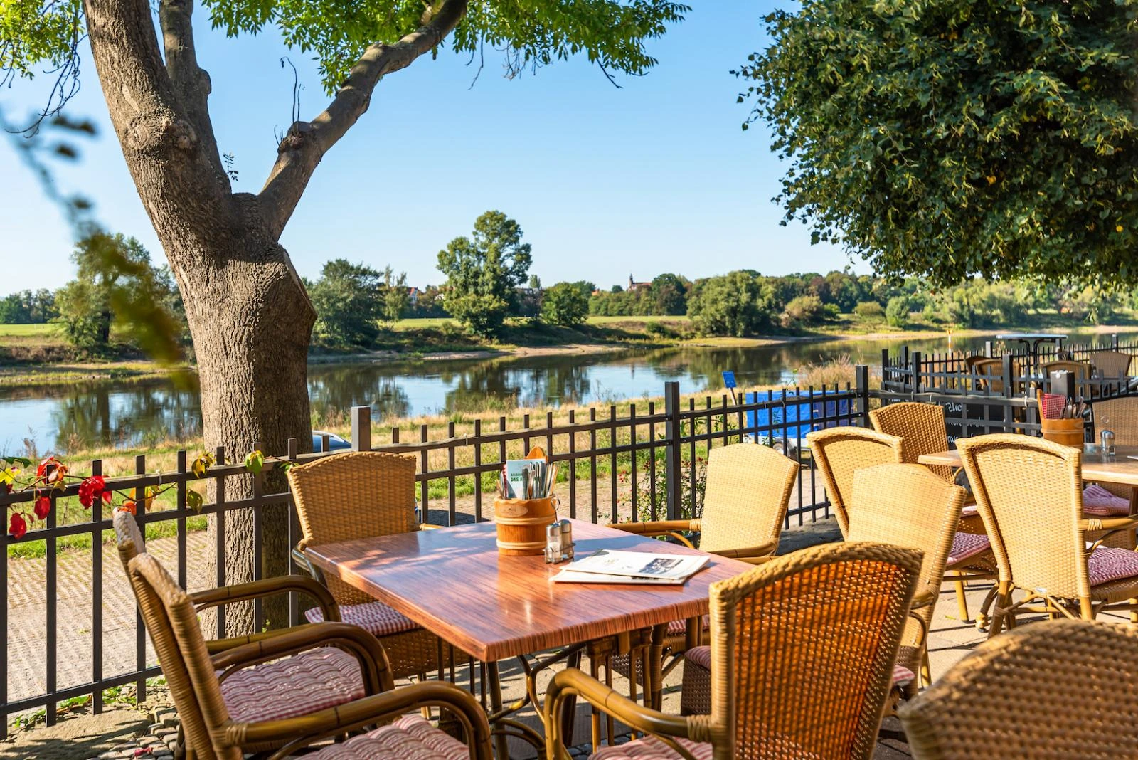 Elbterrasse Wachwitz Bannerbild